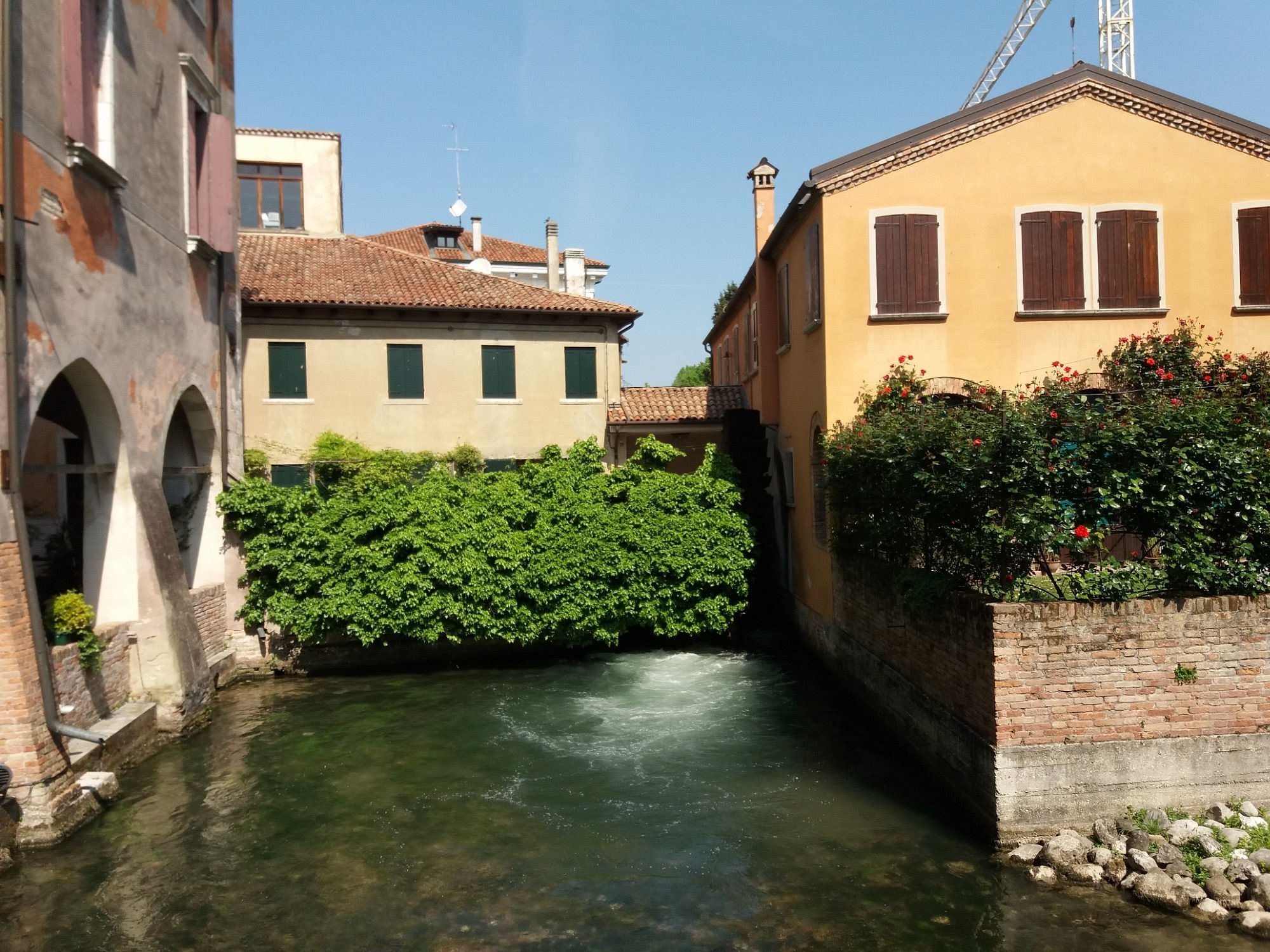 Treviso